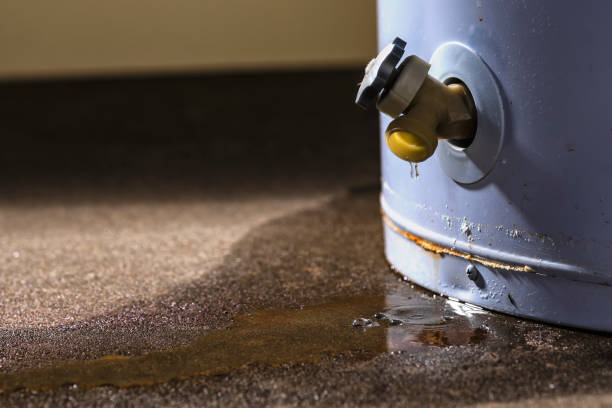 Best Emergency water damage restoration  in Slayton, MN