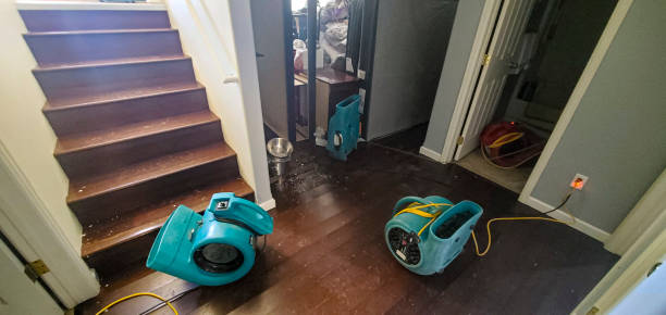 Water damage restoration process in MN