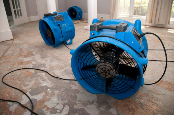 Best Water damage restoration experts  in Slayton, MN