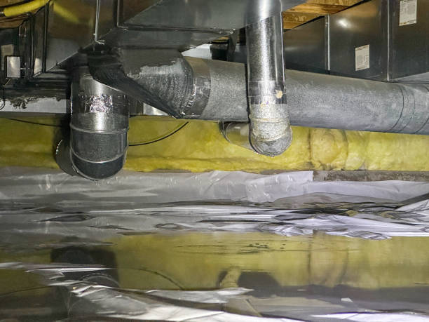 Best Local water damage restoration  in Slayton, MN
