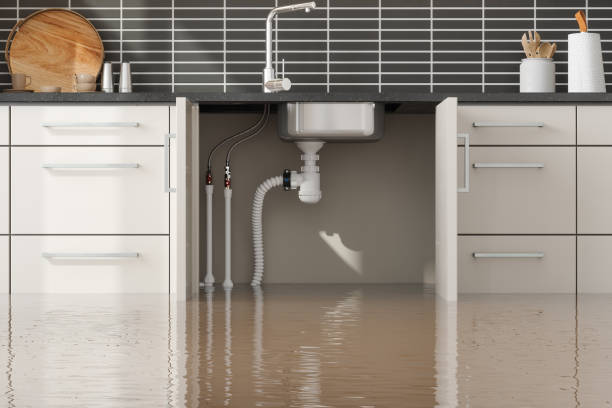 Best Residential water damage restoration  in Slayton, MN